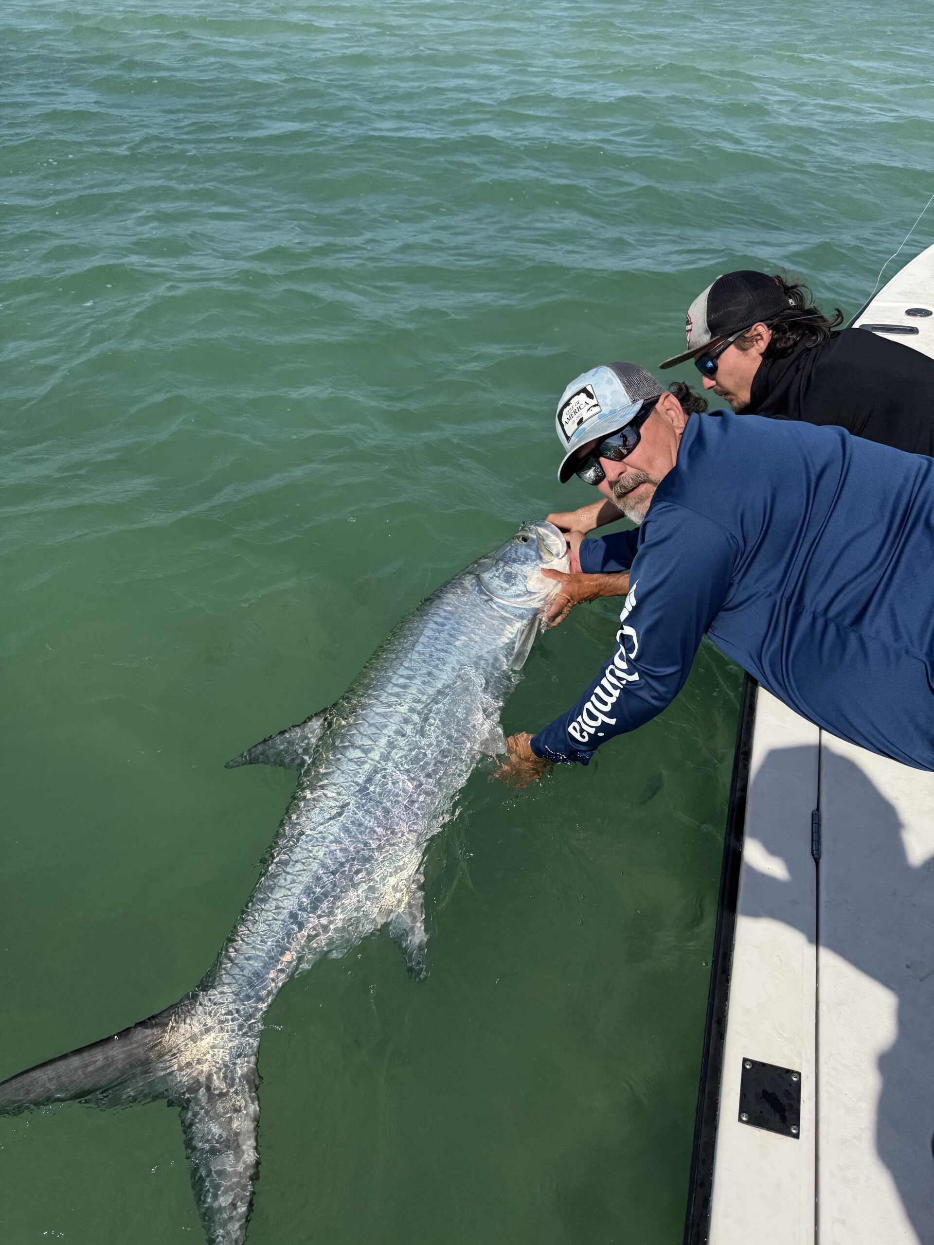 Tarpon Gallery(7)