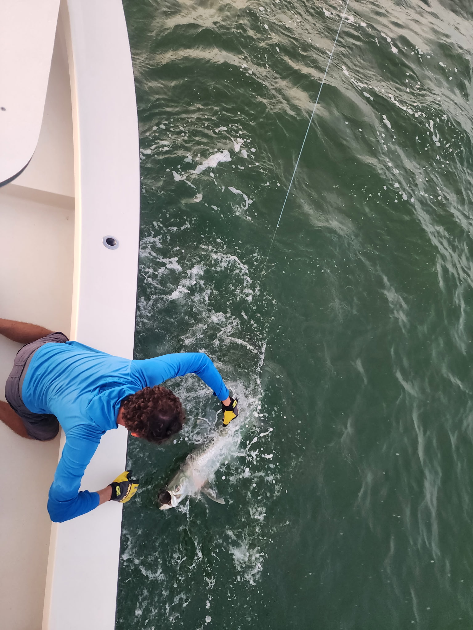 Tarpon Gallery(9)